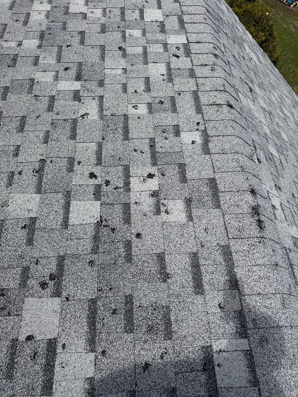 Hail impact damage on asphalt shingles documented with yellow inspection circle on residential roof in the Chicago suburbs